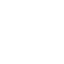 property cleaning icon