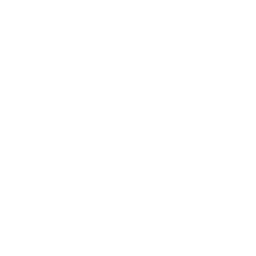 PPE icon